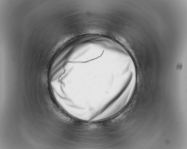 X0000091520249200709141420