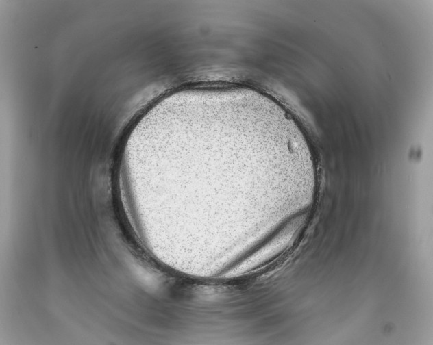 X0000091520250200709141420