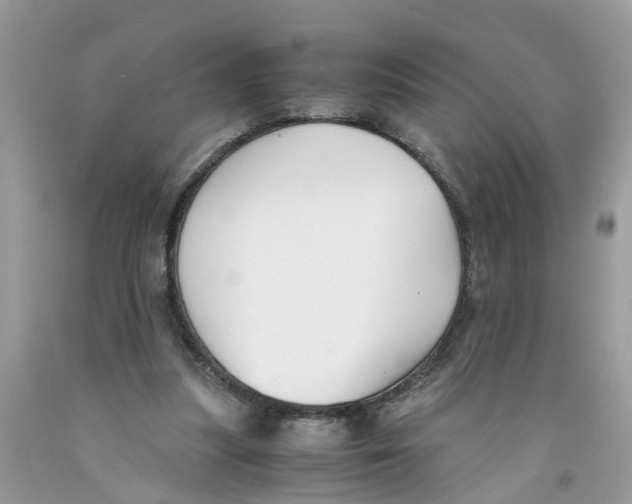 X0000091520251200709141420