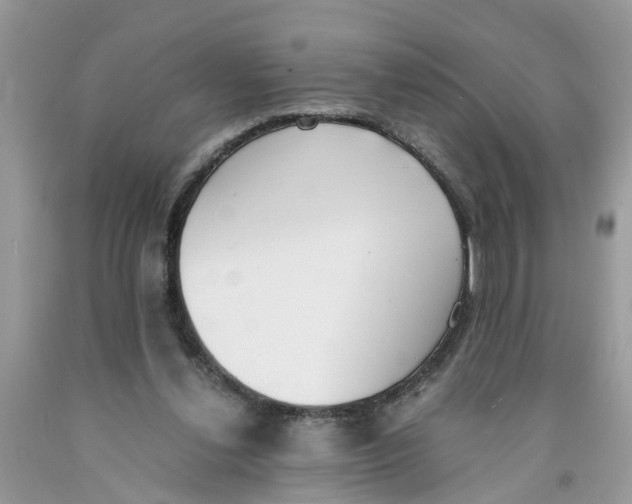 X0000091520252200709141420