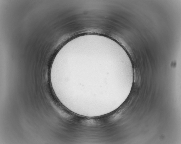 X0000091520253200709141420