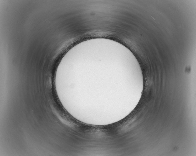 X0000091520254200709141420