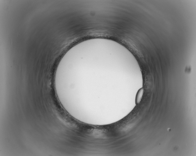 X0000091520255200709141420