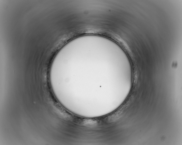 X0000091520257200709141420