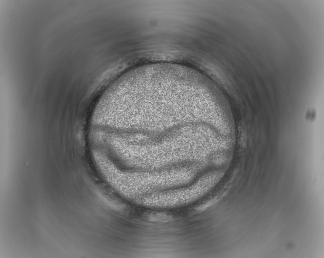 X0000091520258200709141420