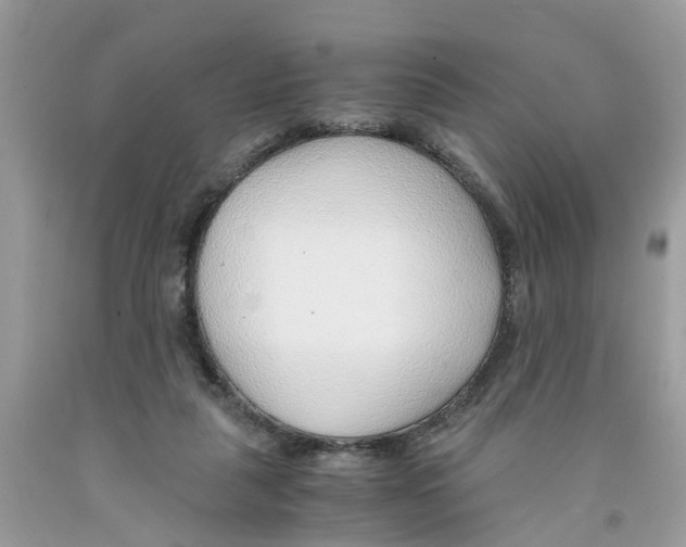 X0000091520259200709141420