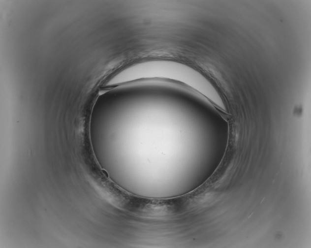 X0000091520260200709141420