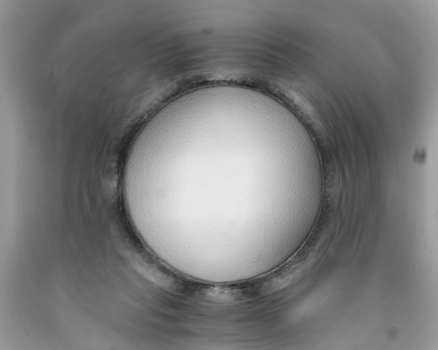 X0000091520261200709141420