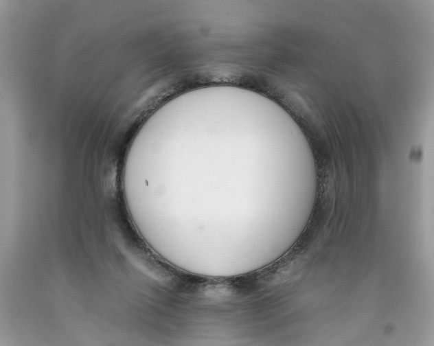 X0000091520262200709141420