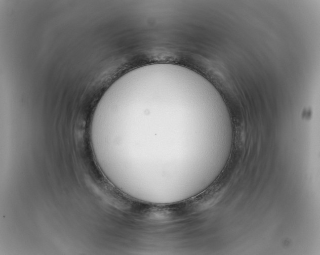 X0000091520263200709141420