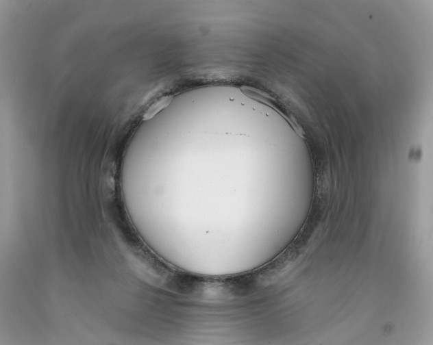 X0000091520264200709141420