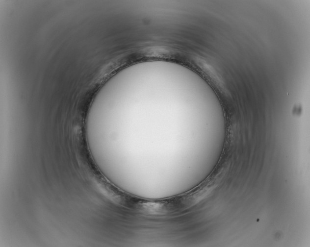 X0000091520265200709141420