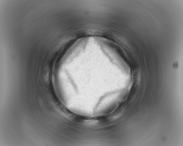 X0000091520266200709141421