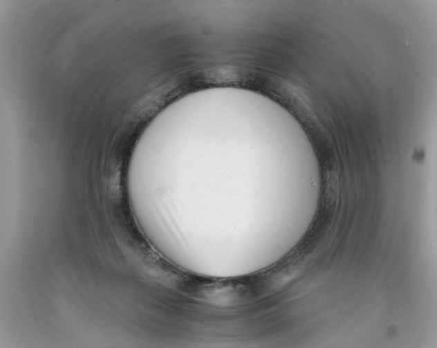 X0000091520267200709141421