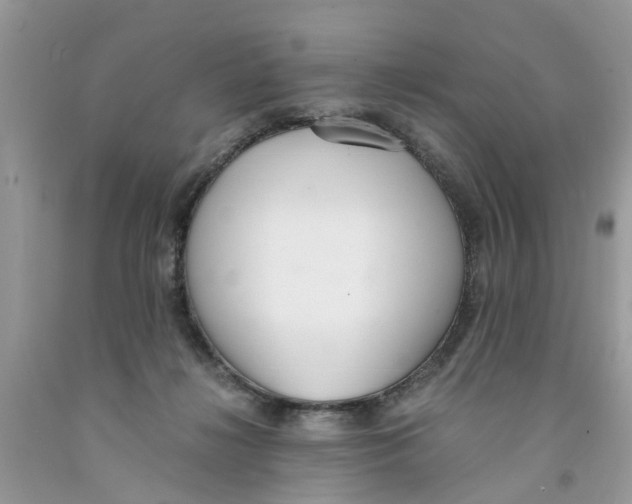 X0000091520268200709141421