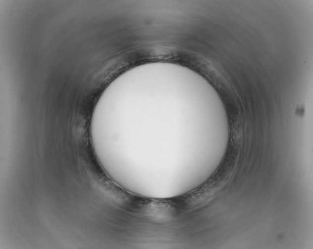 X0000091520270200709141421