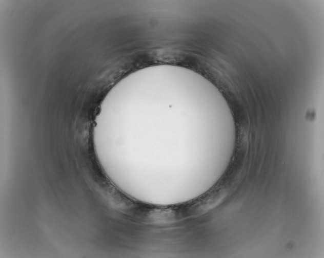 X0000091520271200709141421