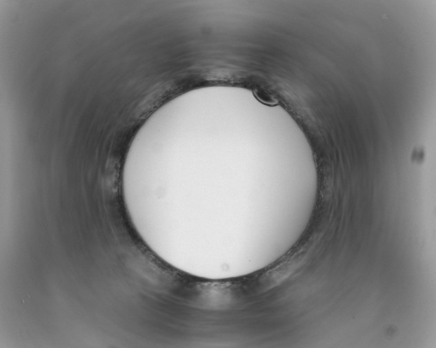 X0000091520273200709141421