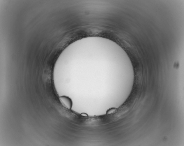 X0000091520274200709141421