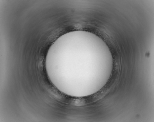 X0000091520275200709141421