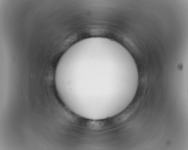 X0000091520277200709141421