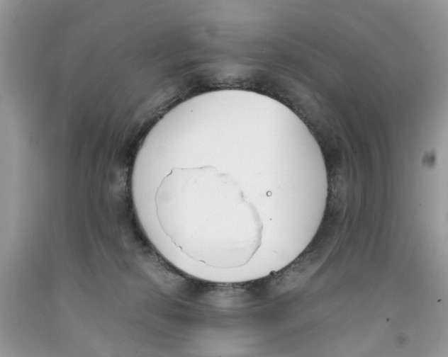 X0000091520278200709141421