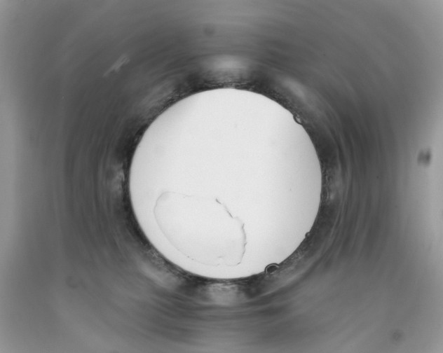 X0000091520279200709141421