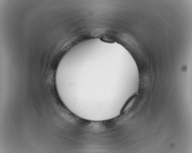 X0000091520280200709141421