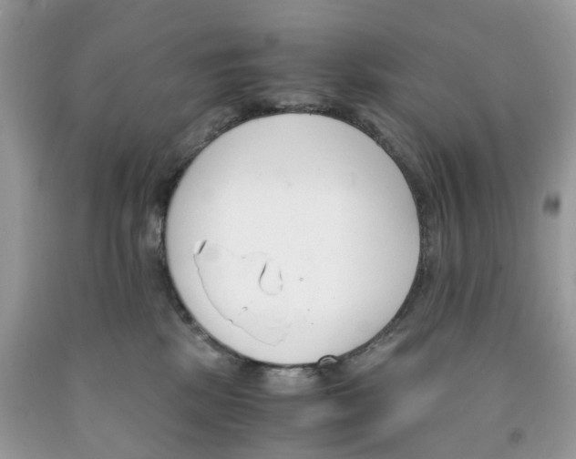 X0000091520281200709141421