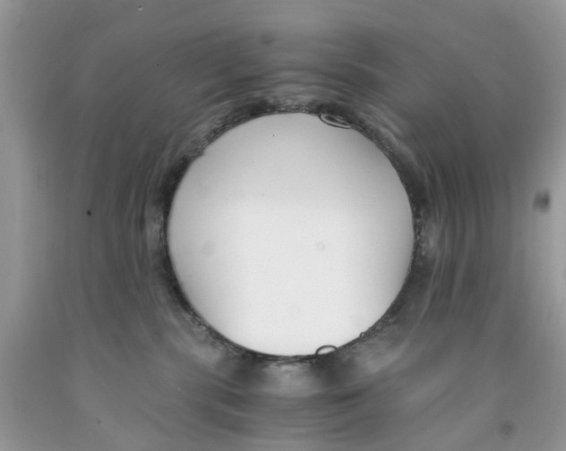 X0000091520283200709141421