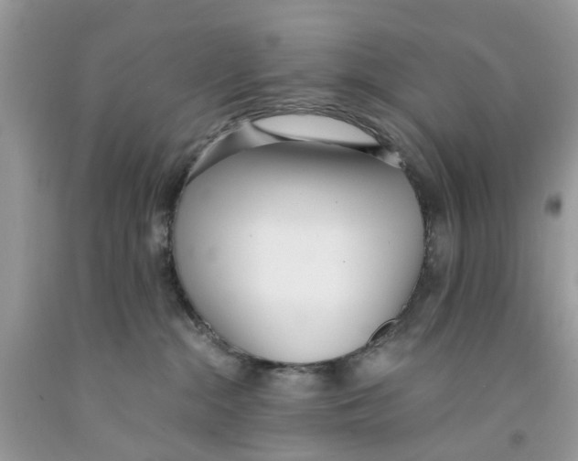 X0000091520284200709141421