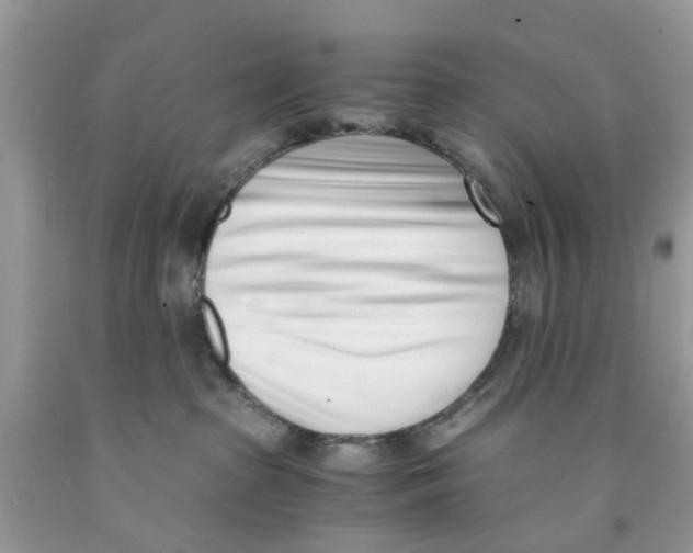 X0000091520285200709141421