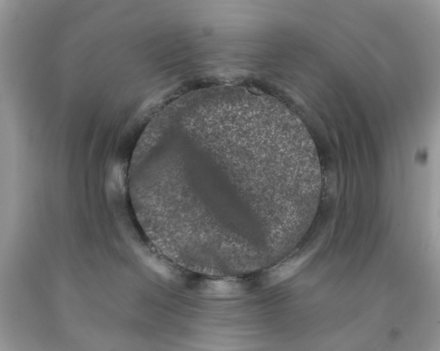 X0000091520286200709141421