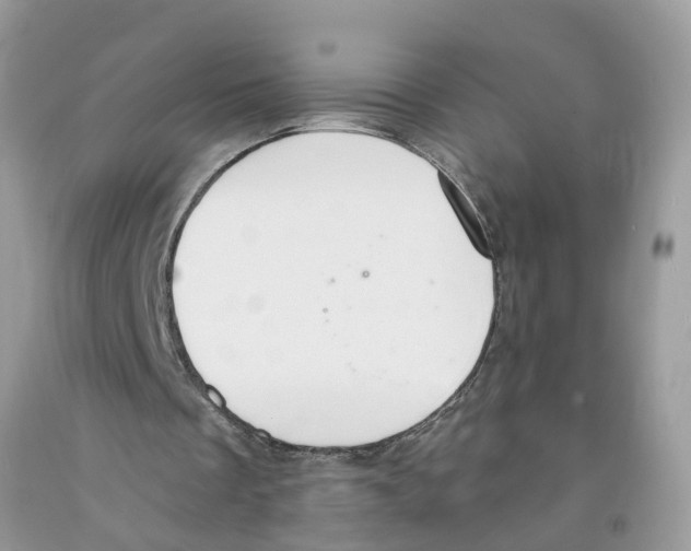 X0000091520289200709141420