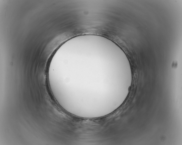 X0000091520290200709141420