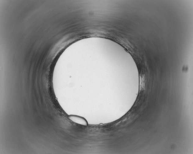 X0000091520291200709141420