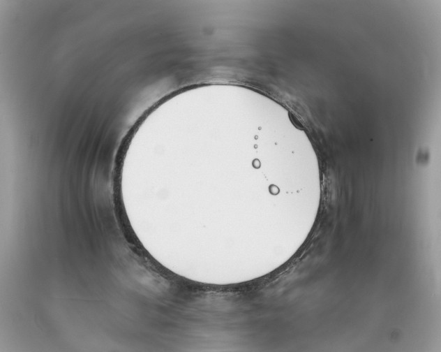 X0000091520292200709141420