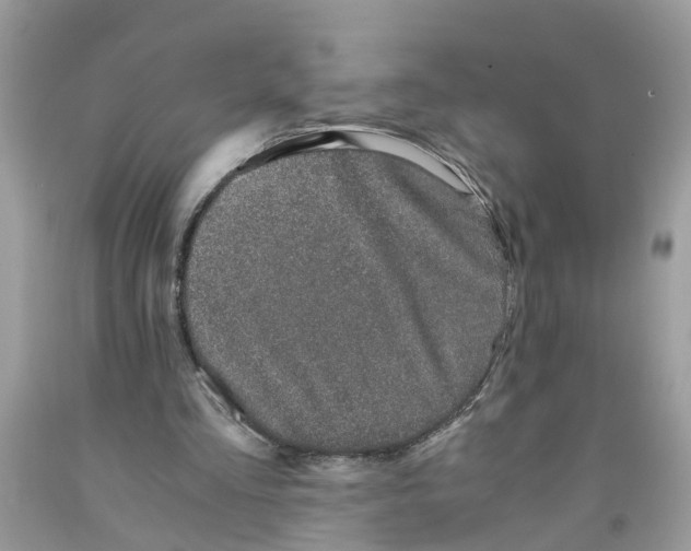 X0000091520293200709141420