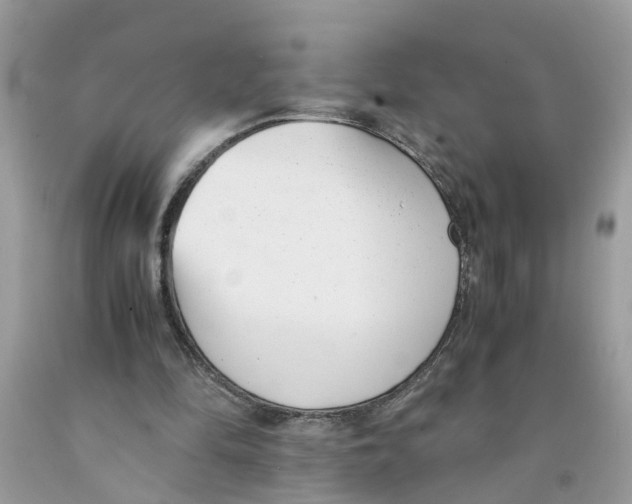 X0000091520294200709141420