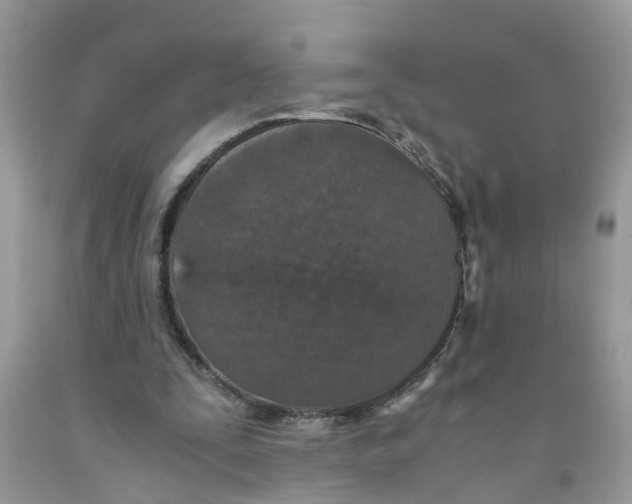 X0000091520295200709141420