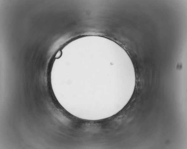 X0000091520296200709141420