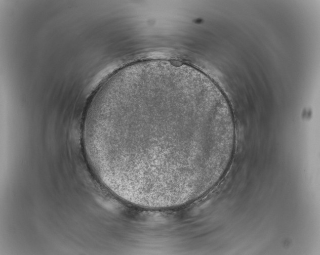 X0000091520297200709141420