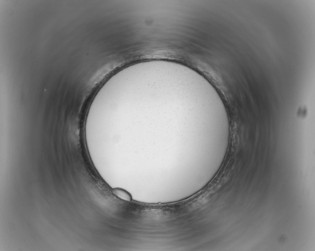 X0000091520298200709141420