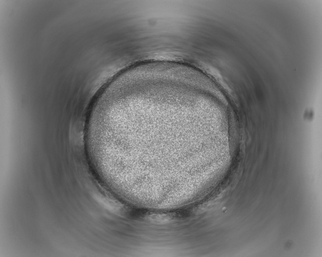 X0000091520299200709141420