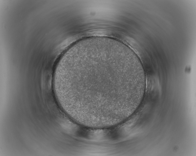 X0000091520301200709141420