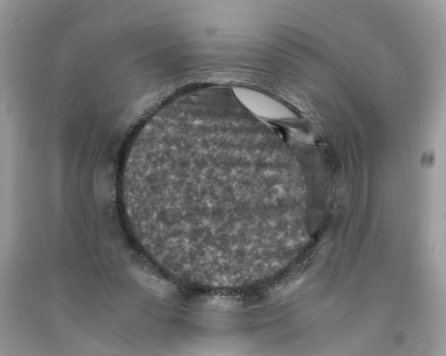 X0000091520303200709141420