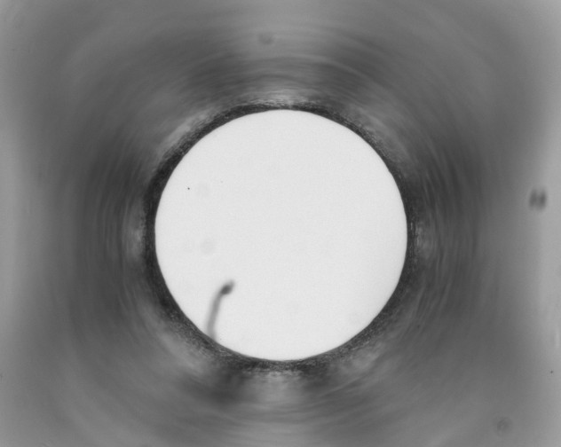 X0000091520304200709141420