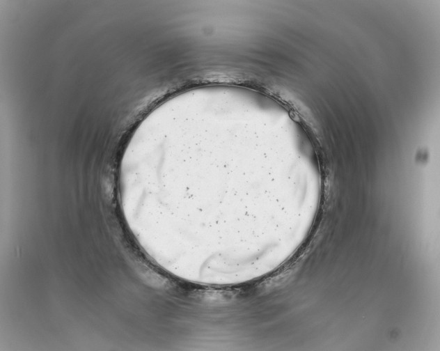 X0000091520305200709141420