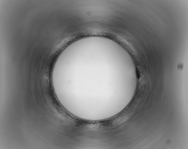 X0000091520306200709141420