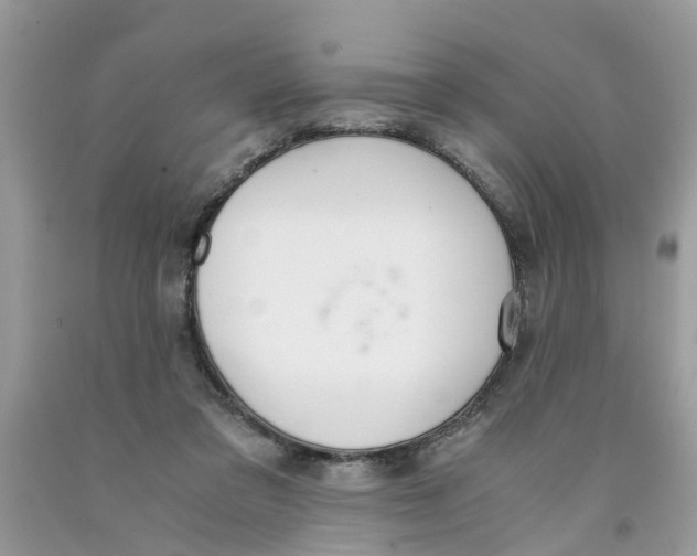 X0000091520309200709141420